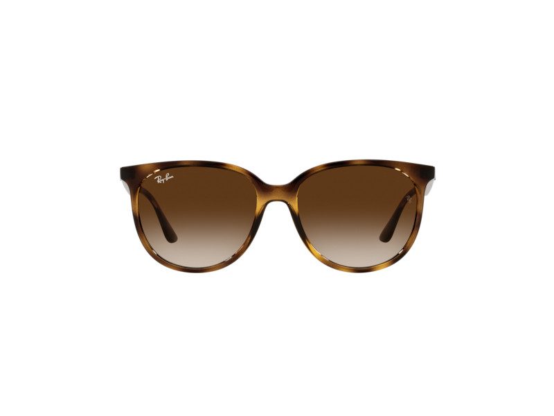 Ray-Ban Aurinkolasit RB 4378 710/13