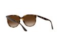 Ray-Ban Aurinkolasit 4378 710/13