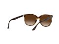 Ray-Ban Aurinkolasit 4378 710/13