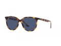 Ray-Ban Aurinkolasit RB 4378 710/80