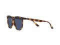 Ray-Ban Aurinkolasit RB 4378 710/80