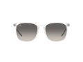 Ray-Ban Aurinkolasit RB 4387 6477/11