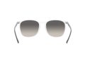 Ray-Ban Aurinkolasit RB 4387 6477/11