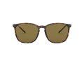 Ray-Ban Aurinkolasit RB 4387 710/73