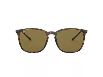 Ray-Ban Aurinkolasit RB 4387 710/73