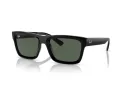 Ray-Ban Warren Aurinkolasit RB 4396 667771