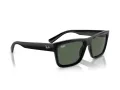 Ray-Ban Warren Aurinkolasit RB 4396 667771