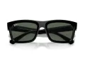 Ray-Ban Warren Aurinkolasit RB 4396 667771