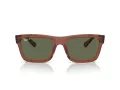 Ray-Ban Warren Aurinkolasit RB 4396 66789A