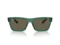 Ray-Ban Warren Aurinkolasit RB 0RB4396 6681/3