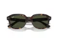Ray-Ban Erik Aurinkolasit RB 0RB4398 902/31