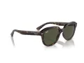 Ray-Ban Erik Aurinkolasit RB 0RB4398 902/31