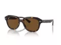 Ray-Ban Erik Aurinkolasit RB 4398 902/57