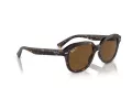 Ray-Ban Erik Aurinkolasit RB 4398 902/57