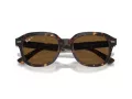 Ray-Ban Erik Aurinkolasit RB 4398 902/57
