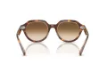 Ray-Ban Gina Aurinkolasit RB 4399 141451