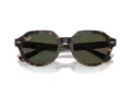 Ray-Ban Gina Aurinkolasit RB 0RB4399 902/31