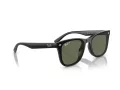 Ray-Ban Aurinkolasit RB 4420 601/9A
