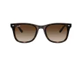 Ray-Ban Aurinkolasit RB 4420 710/13