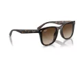 Ray-Ban Aurinkolasit RB 4420 710/13