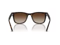 Ray-Ban Aurinkolasit RB 4420 710/13