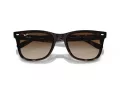 Ray-Ban Aurinkolasit RB 4420 710/13
