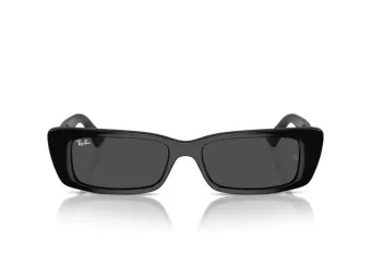 Ray-Ban Teru Aurinkolasit RB 4425 667787
