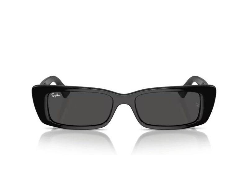 Ray-Ban Teru Aurinkolasit RB 4425 667787
