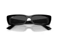 Ray-Ban Teru Aurinkolasit RB 4425 667787