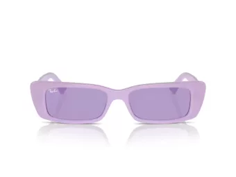Ray-Ban Teru Aurinkolasit RB 4425 67581A