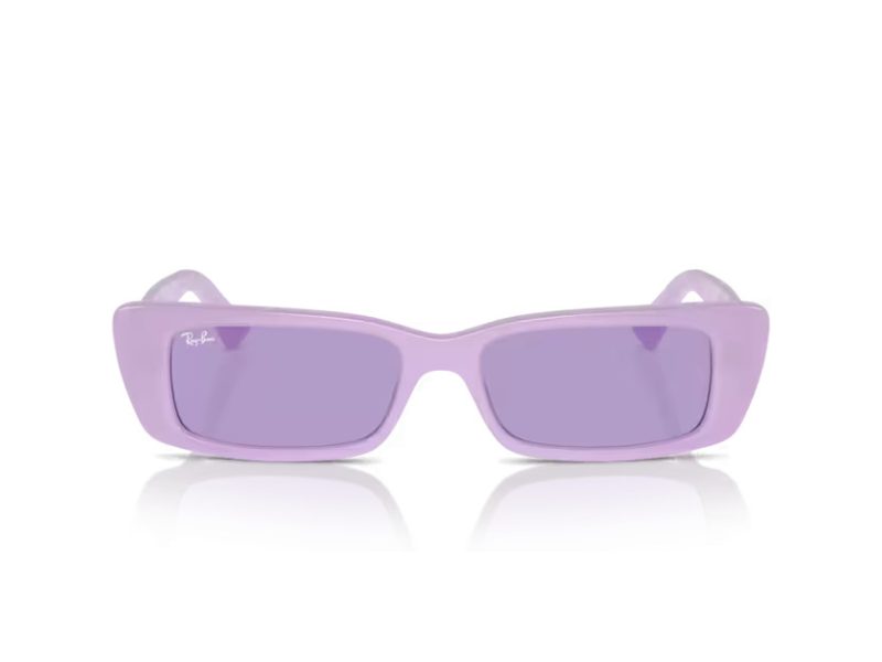 Ray-Ban Teru Aurinkolasit RB 4425 67581A