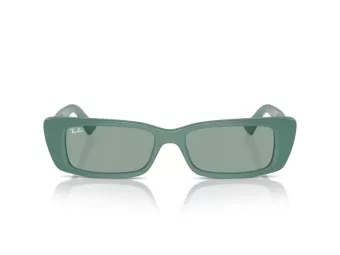 Ray-Ban Teru Aurinkolasit RB 4425 676282