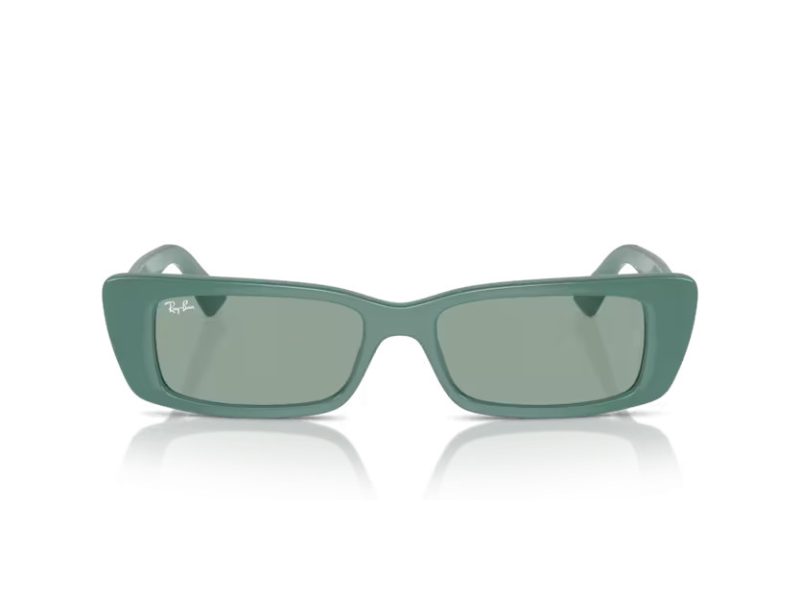 Ray-Ban Teru Aurinkolasit RB 4425 676282