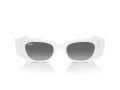 Ray-Ban Kat Aurinkolasit RB 4427 675911