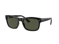 Ray-Ban Aurinkolasit RB 0RB4428 601/31