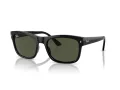 Ray-Ban Aurinkolasit RB 0RB4428 601/31