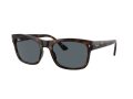 Ray-Ban Aurinkolasit RB 0RB4428 710/R5