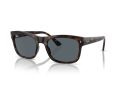Ray-Ban Aurinkolasit RB 0RB4428 710/R5