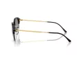 Ray-Ban Aurinkolasit RB 0RB4429 672332