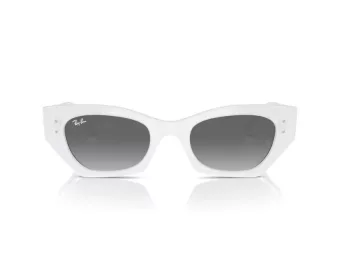 Ray-Ban Zena Aurinkolasit RB 4430 675911