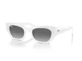 Ray-Ban Zena Aurinkolasit RB 4430 675911