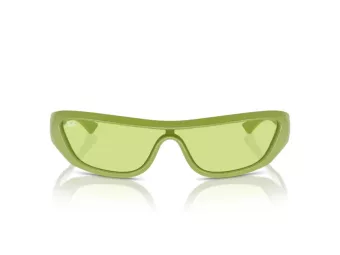 Ray-Ban Xan Aurinkolasit RB 4431 6763/2