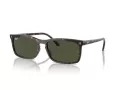 Ray-Ban Aurinkolasit RB 4435 902/31