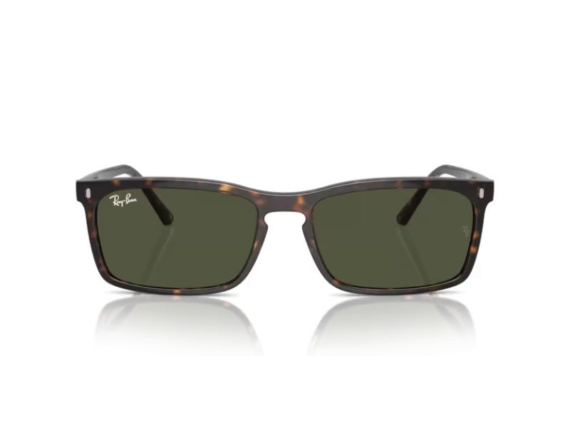 Ray-Ban Aurinkolasit RB 4435 902/31