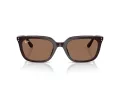 Ray-Ban Aurinkolasit RB 4439D 623173
