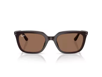 Ray-Ban Aurinkolasit RB 4439D 623173