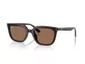 Ray-Ban Aurinkolasit RB 4439D 623173