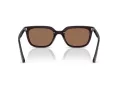 Ray-Ban Aurinkolasit RB 4439D 623173