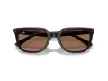 Ray-Ban Aurinkolasit RB 4439D 623173