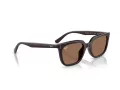 Ray-Ban Aurinkolasit RB 4439D 623173